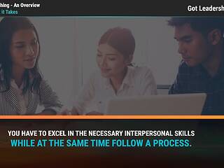 Got Leadership?® Coaching - An Overview